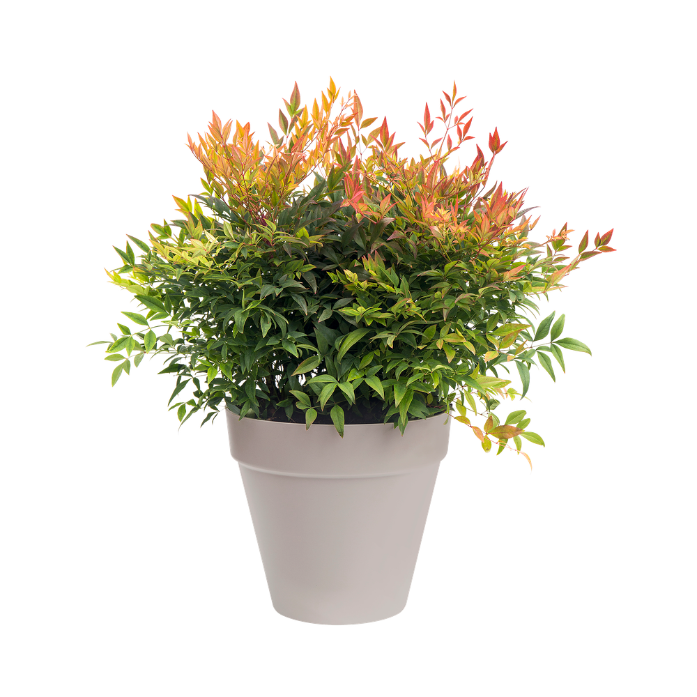 Loft Urban Rond Wielen 60