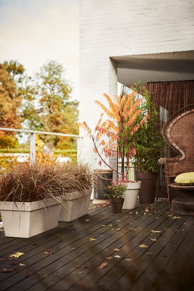 Loft Urban Terrace Wielen 70