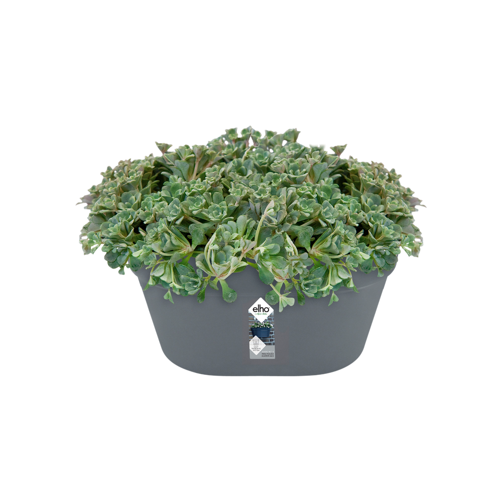 Loft Urban Wandbak 40