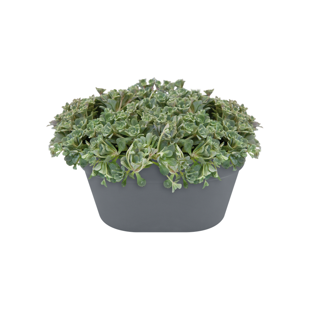 Loft Urban Wandbak 40