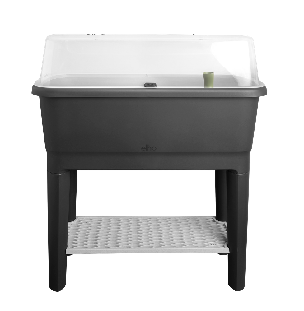 Noa Kweektafel