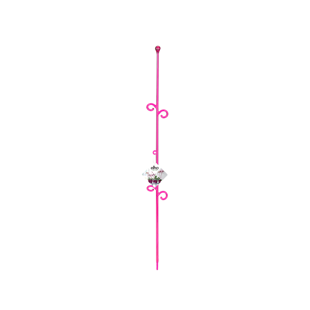 Orchideco Elegant 55