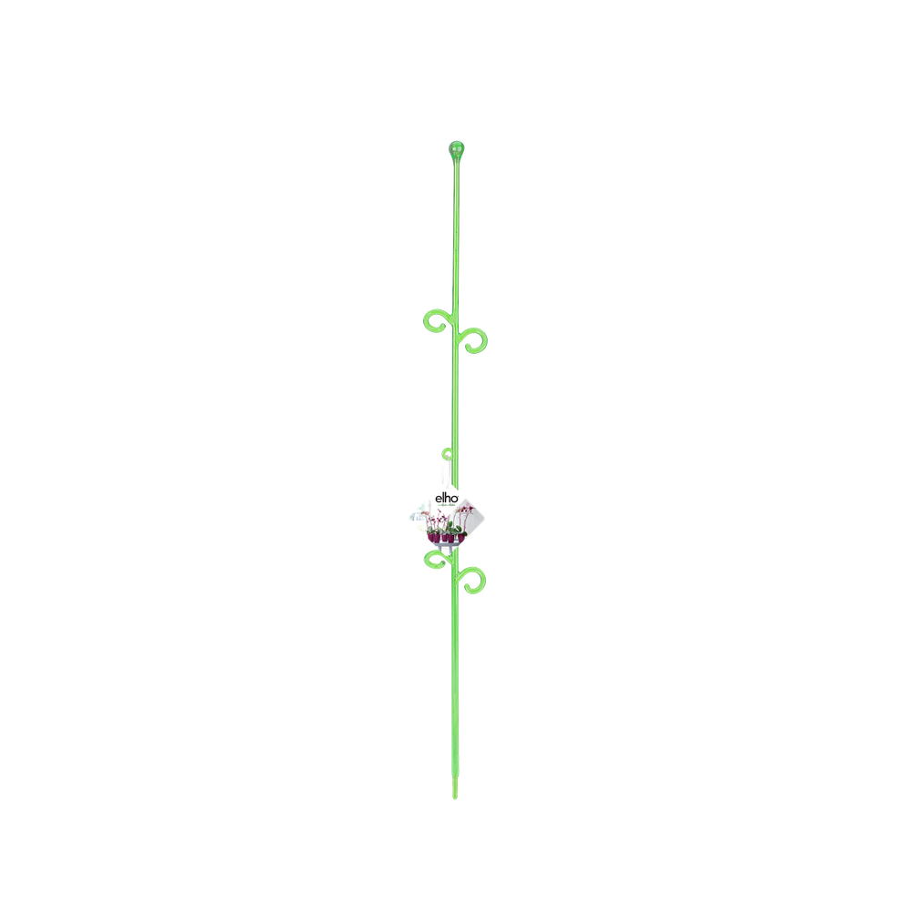 Orchideco Elegant 55