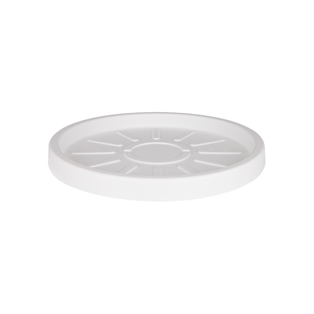Pure Saucer 25