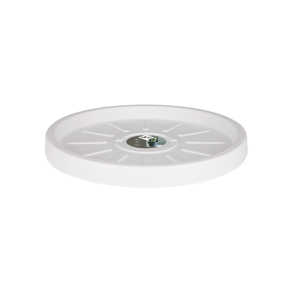 Pure Saucer 37