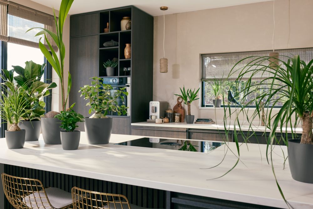 The Coffee Collection Rond 22