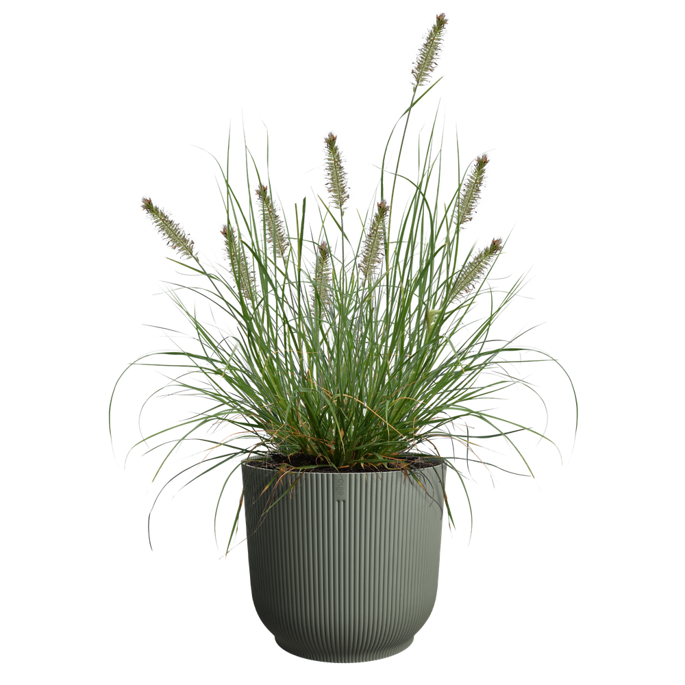 The Grass Collection Rond 47