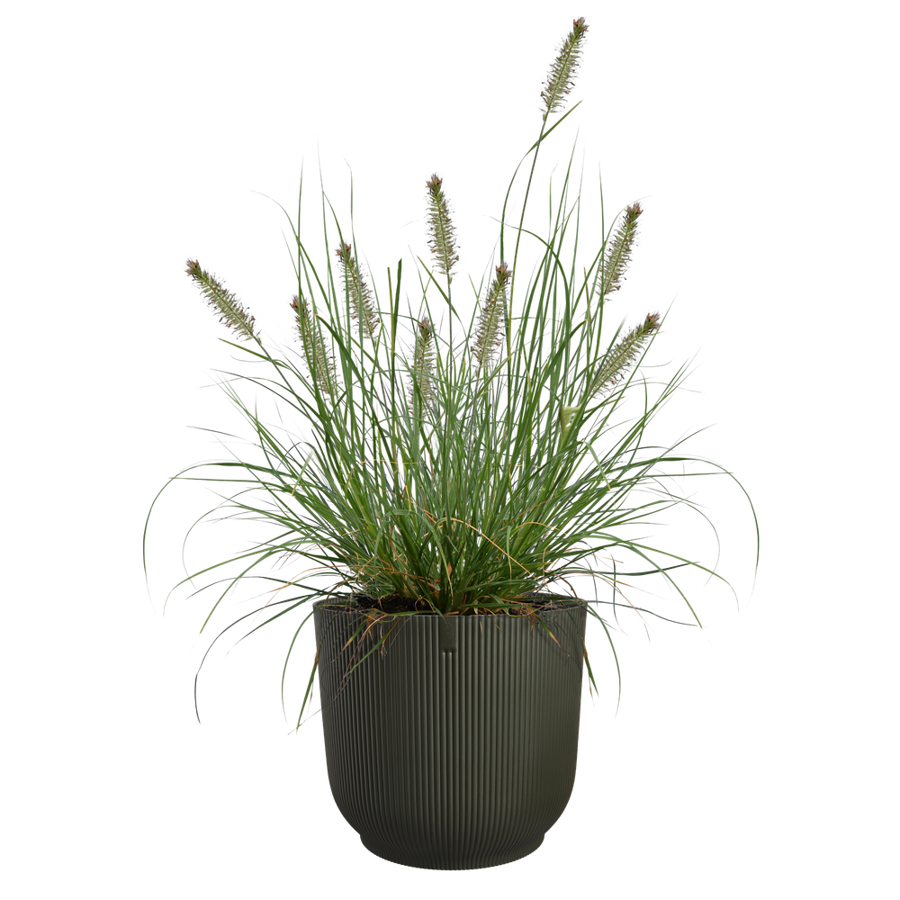 The Grass Collection Rond 47