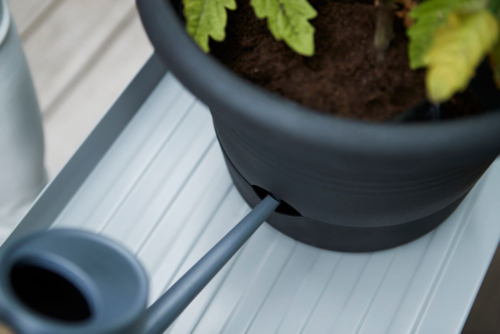 Green Basics Tomaten Pot 33