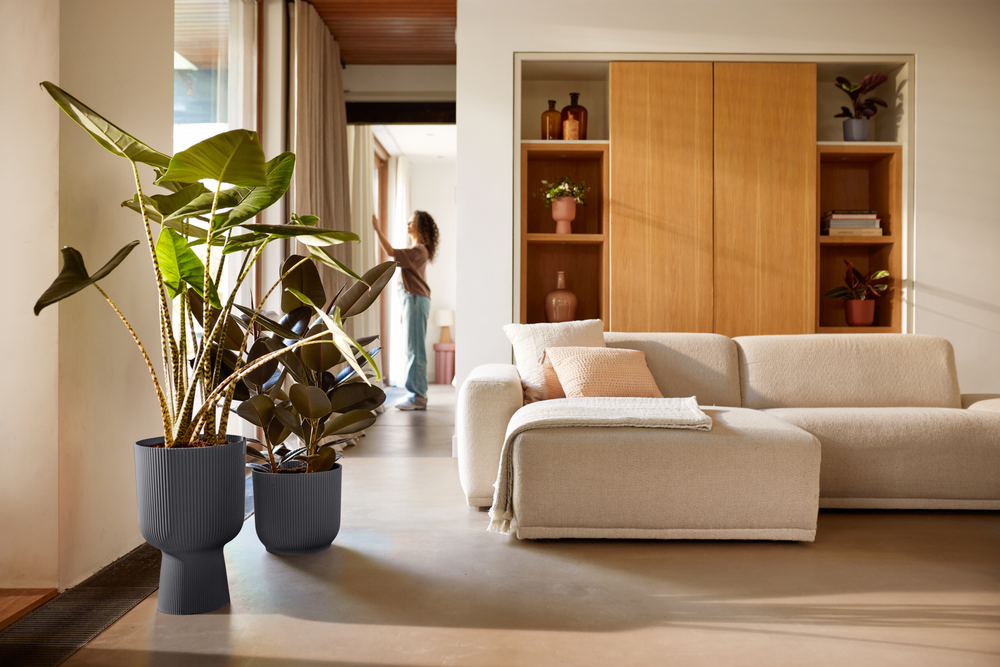 Vibes Fold Coupe 30