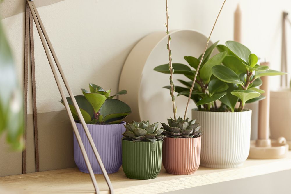 Vibes Fold Rond Mini 9