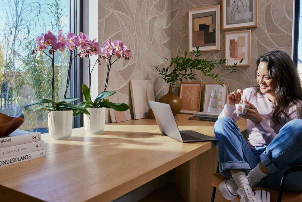 Vibes Fold Orchidee Hoog 12,5