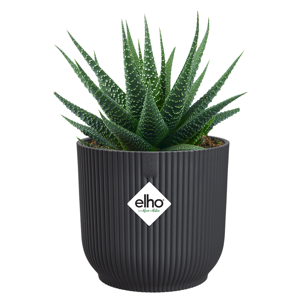 Vibes Fold Rond Mini 9