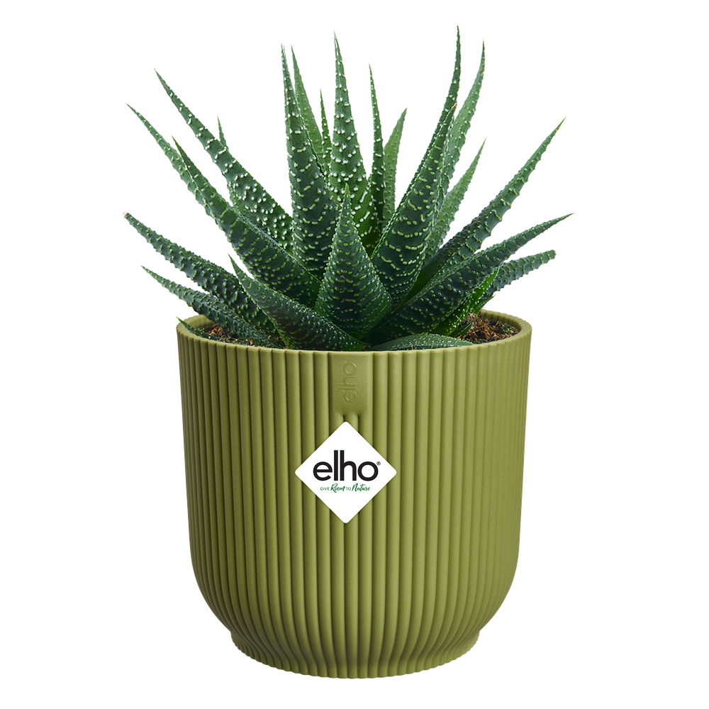 Vibes Fold Rond Mini 11