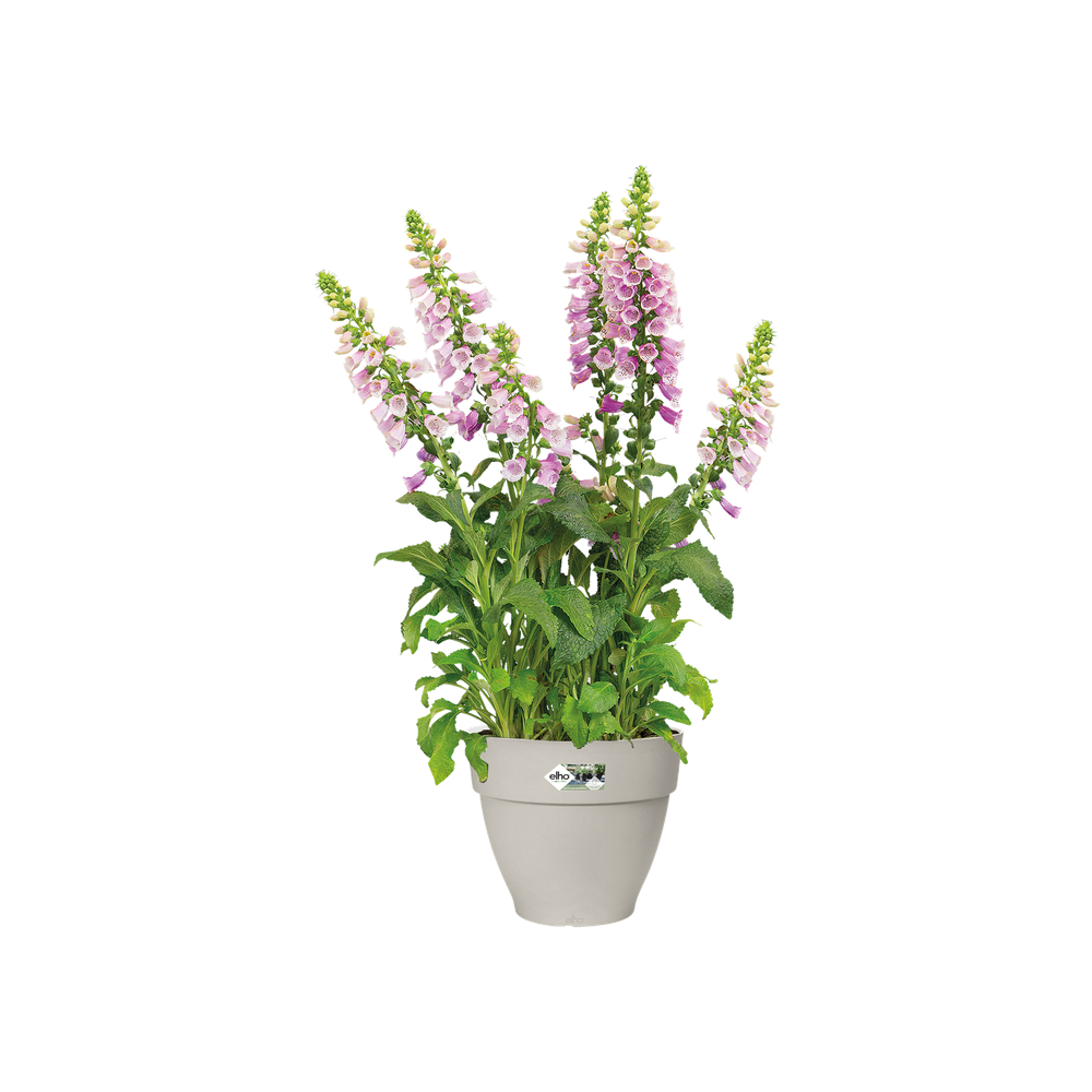 Vibia Campana Rond 30