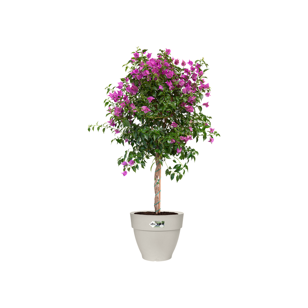 Vibia Campana Rond 47