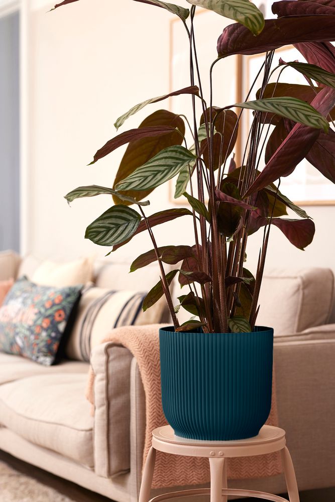 Vibes Fold Rond Wielen 35
