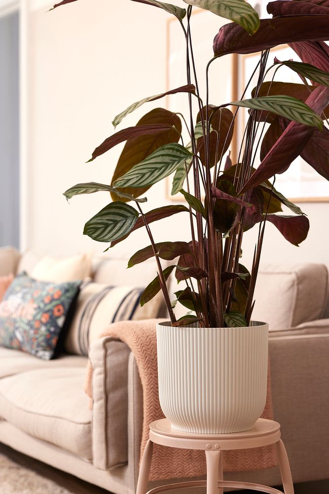 Vibes Fold Rond Wielen 35