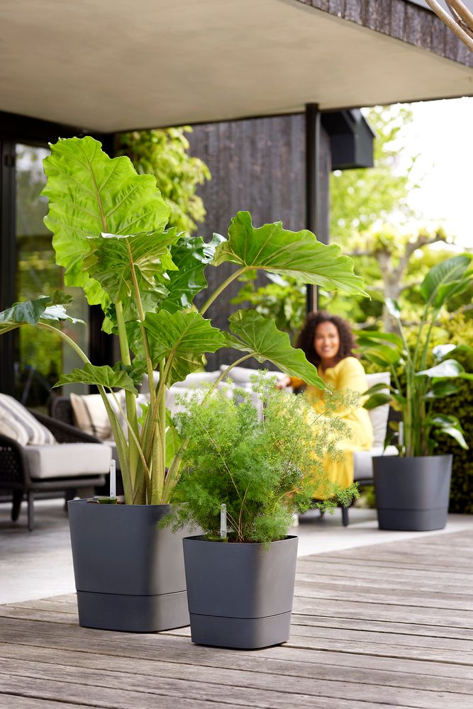 Greensense Aqua Care Vierkant 30