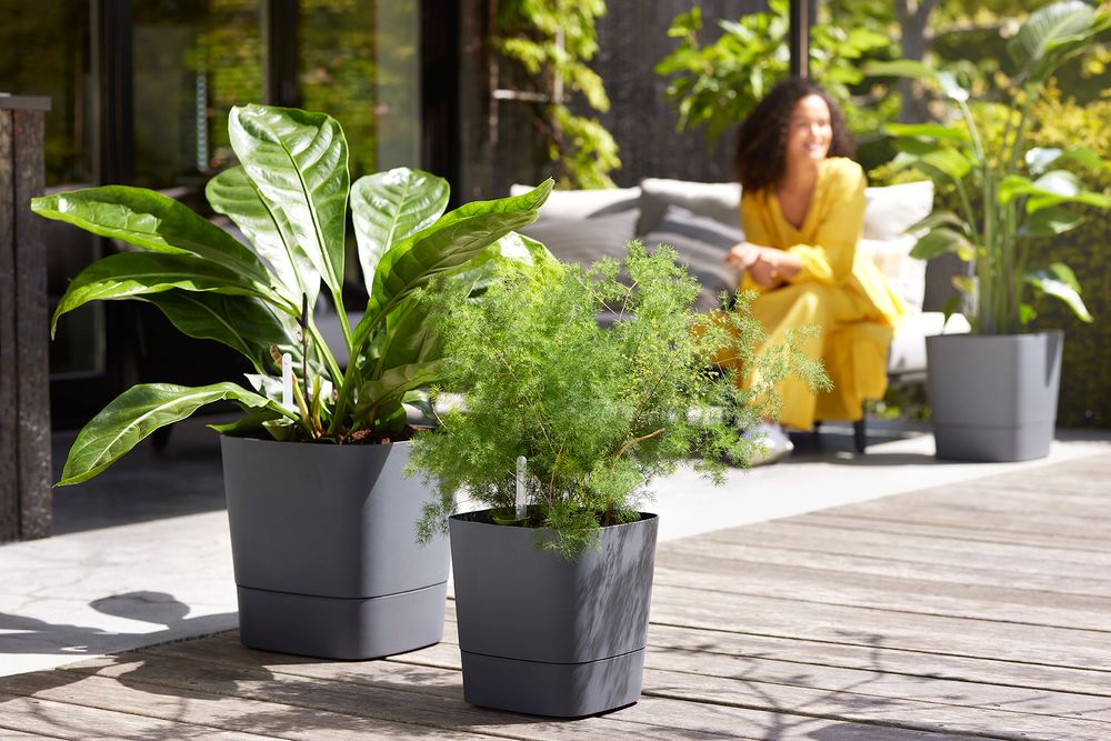 Greensense Aqua Care Vierkant 30