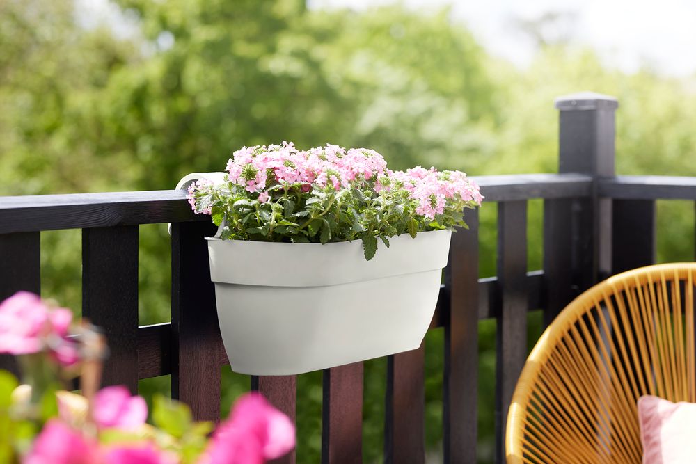 BNDL Vibia C. Easy Hanger L X 2