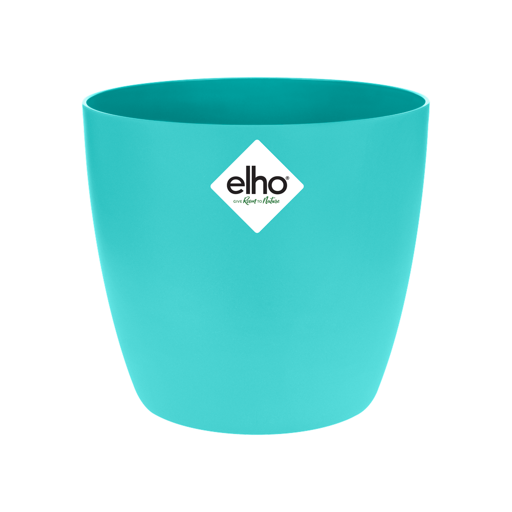 Brussels Rond Mini 7