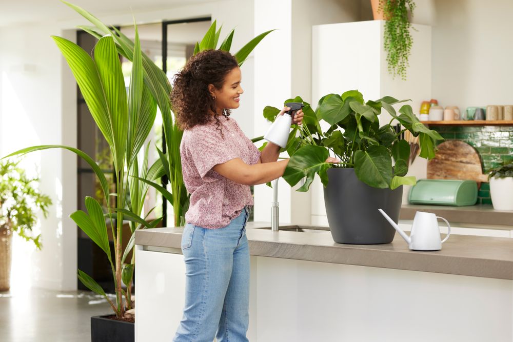 BNDL Brussels Gieter + Sprayer