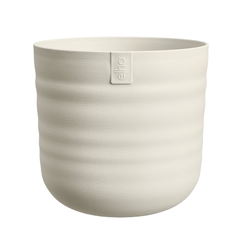Dune Rond 22