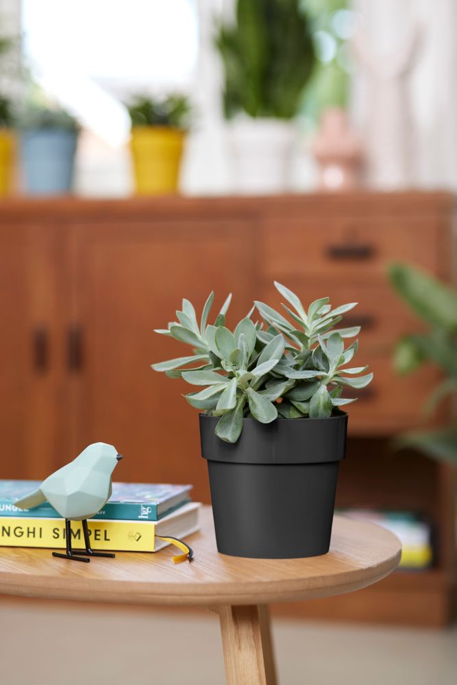 B.for Original Rond 22