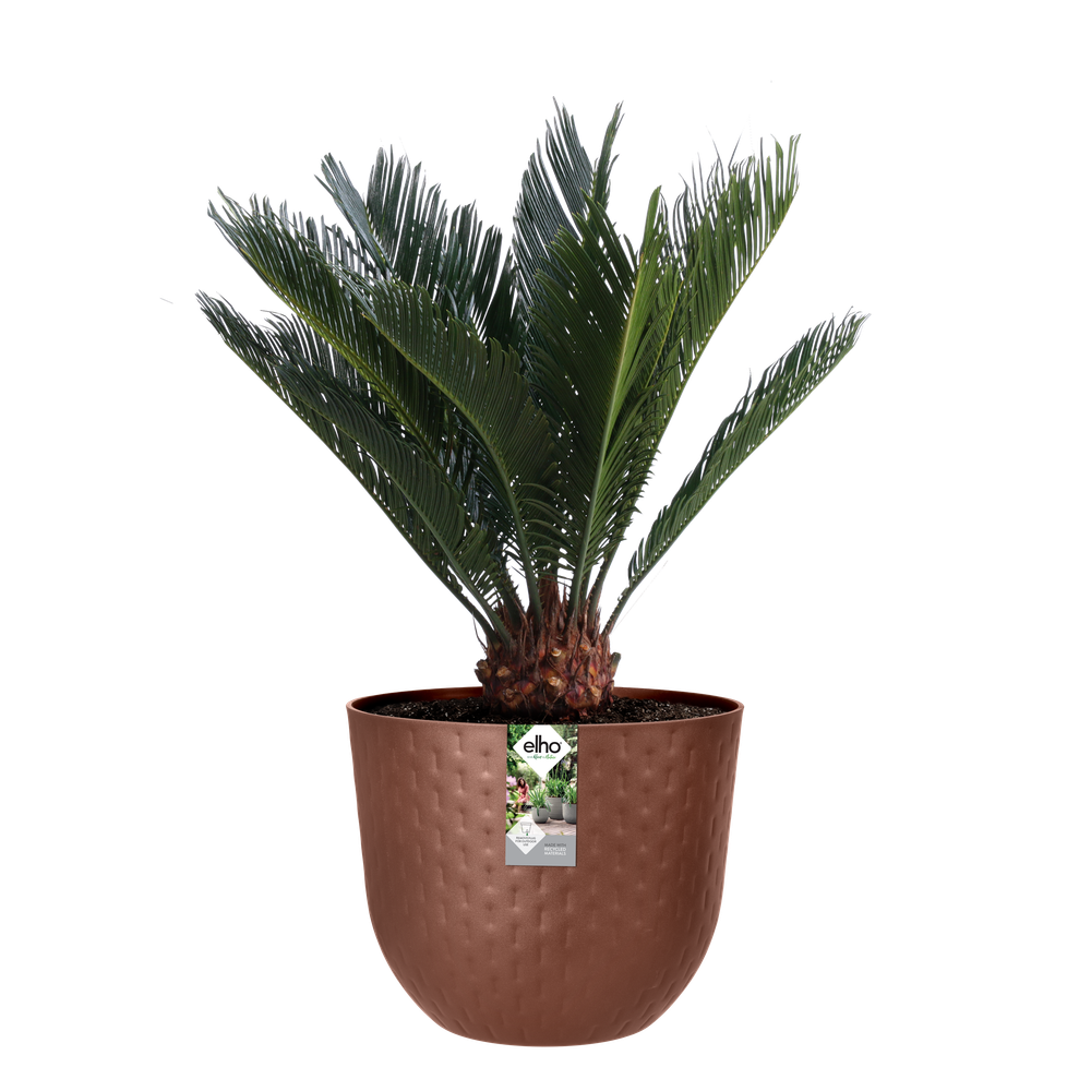 Fuente Grains Rond 47