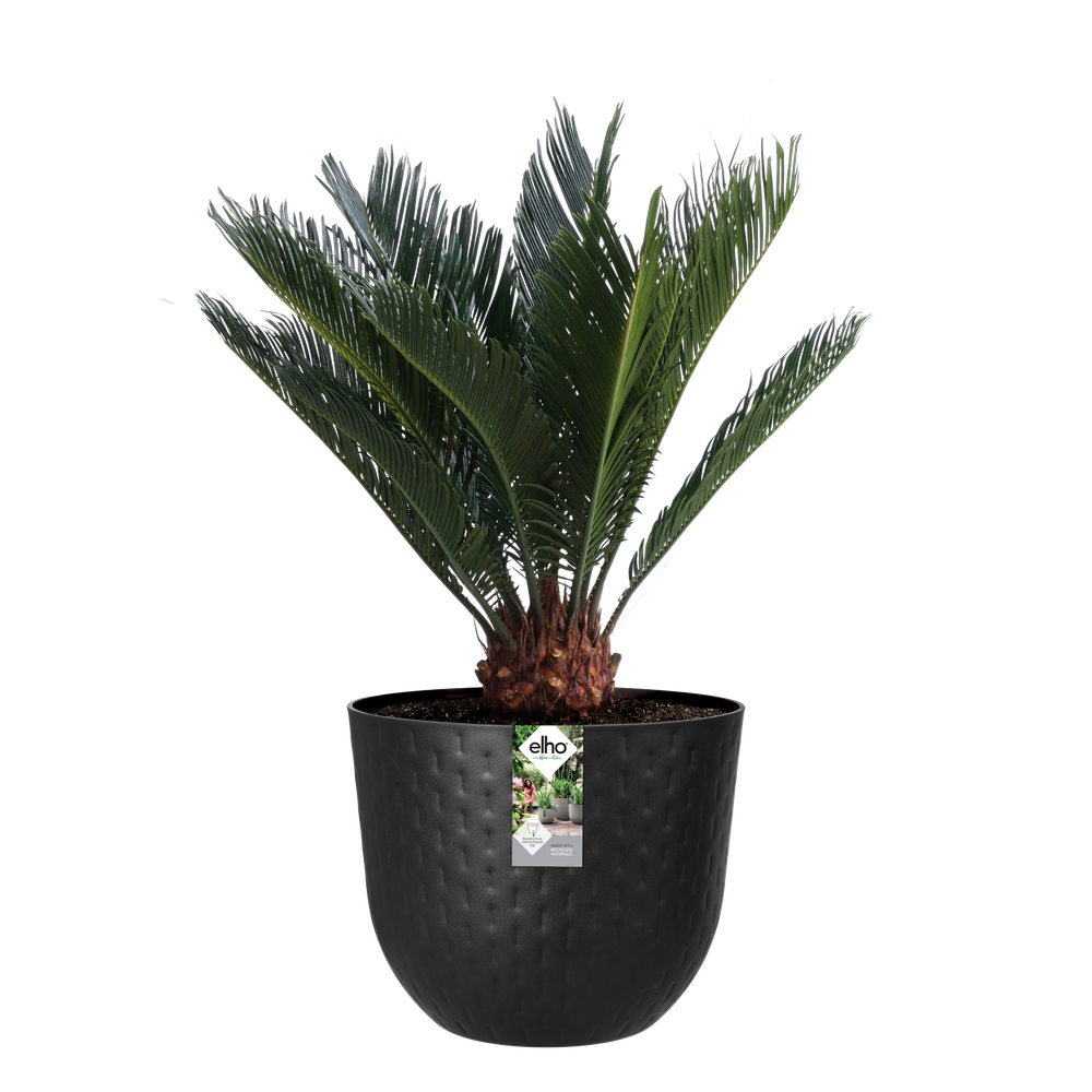 Fuente Grains Rond 30