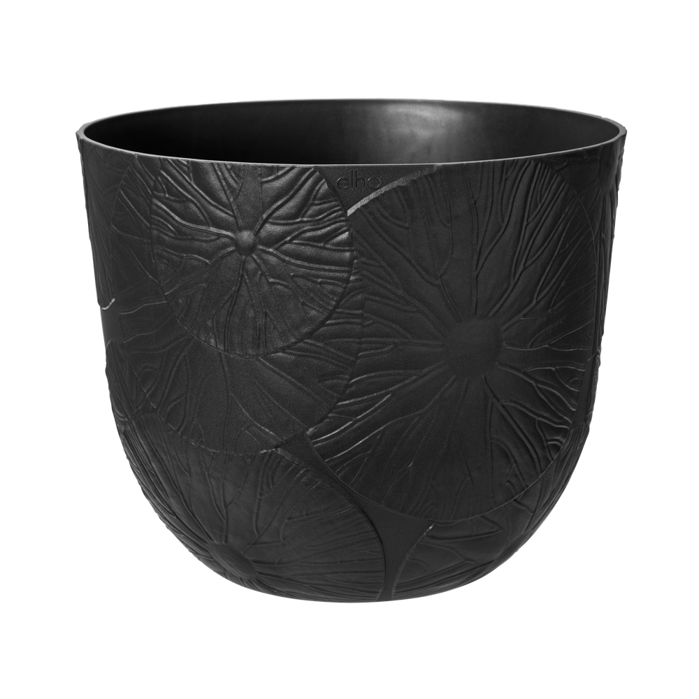 Fuente Lily Rond 30