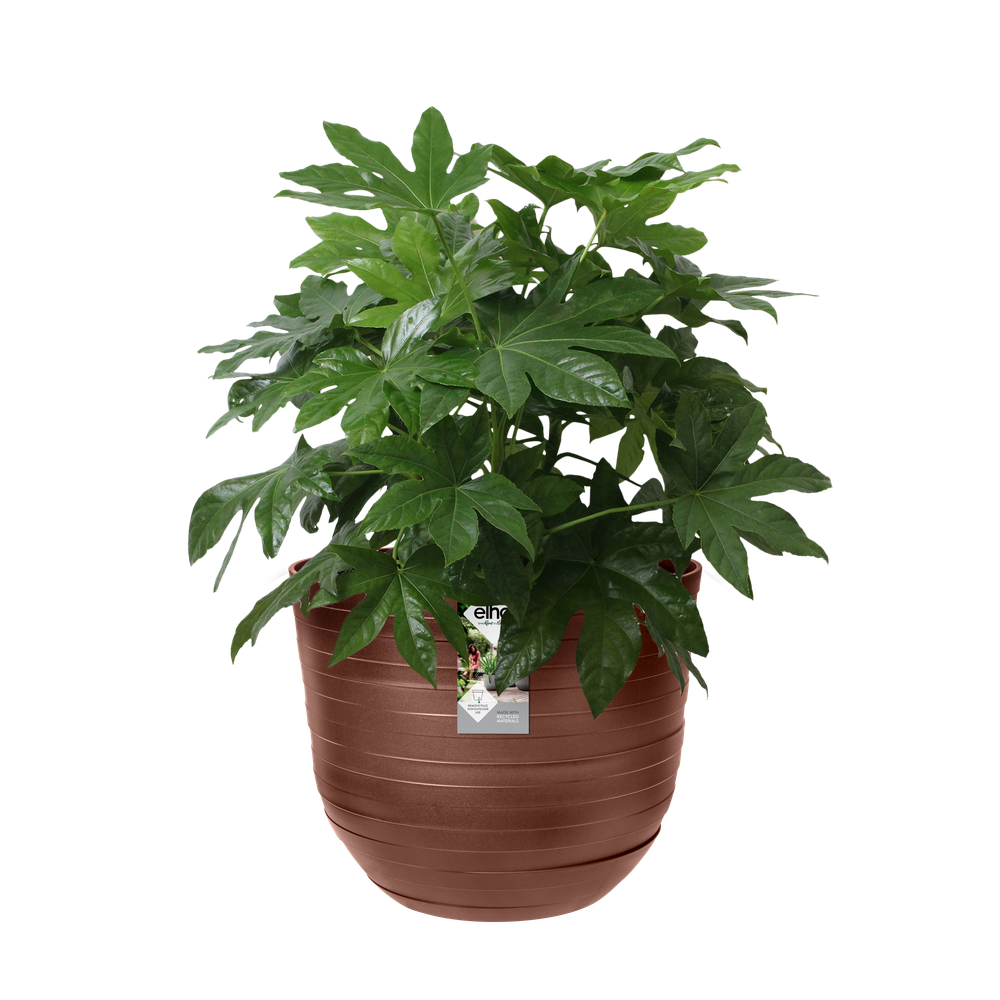 Fuente Rings Rond 30