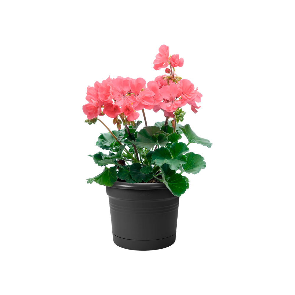 Green Basics Balkon Potholder All-in-1