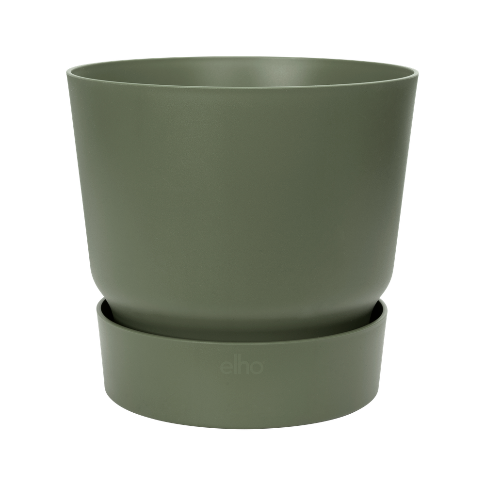 Greenville Rond 16