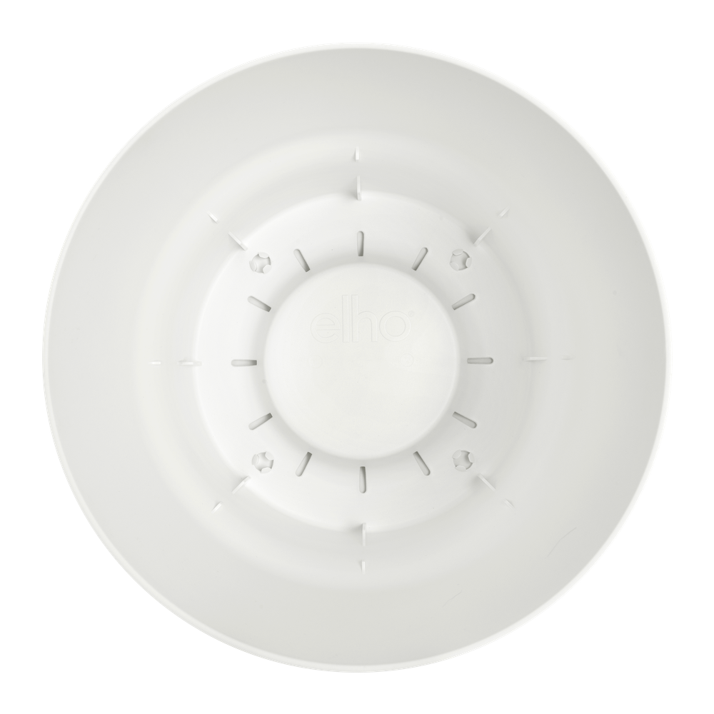 Greenville Rond 25