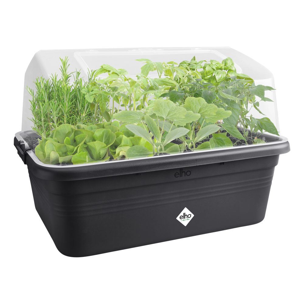 Green Basics Grow Garden Kweekhuis L