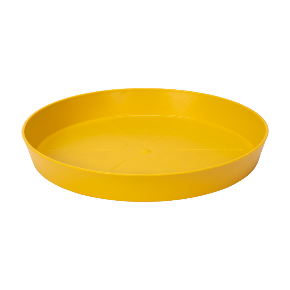 Loft Urban Schotel Rond 17