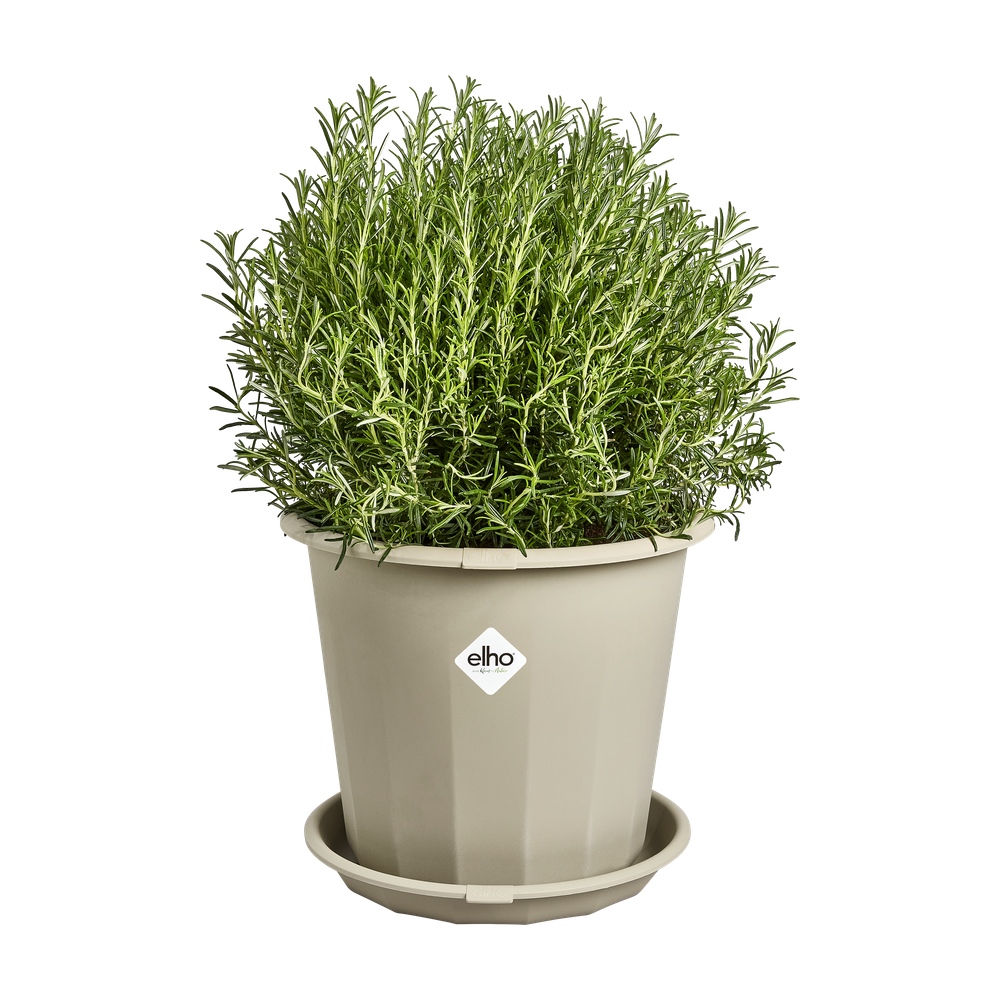 Niva Schotel Rond 43