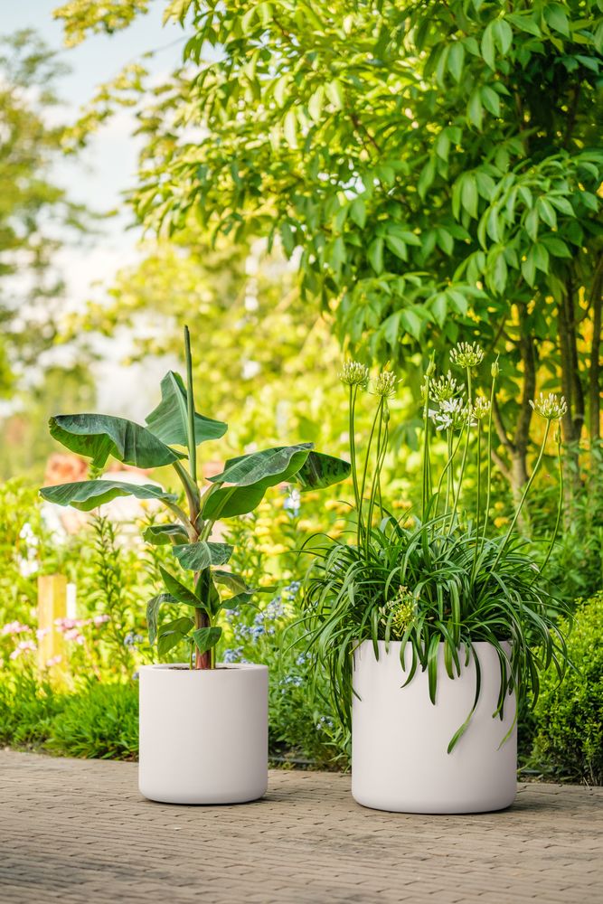 Pure Cilinder Wheels 50