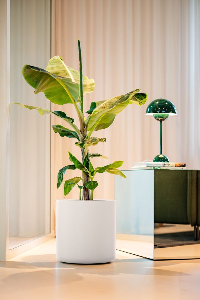 Pure Cilinder Wheels 40