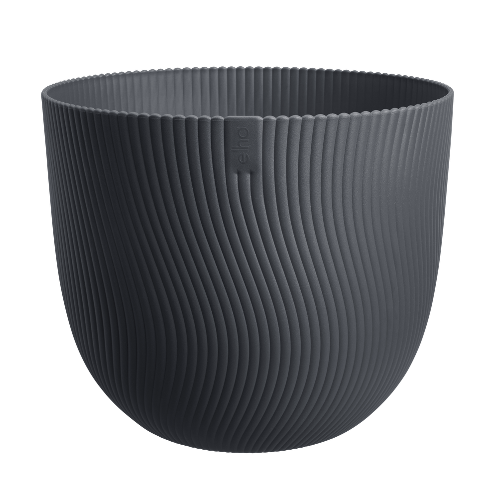 Sereh Rond 40