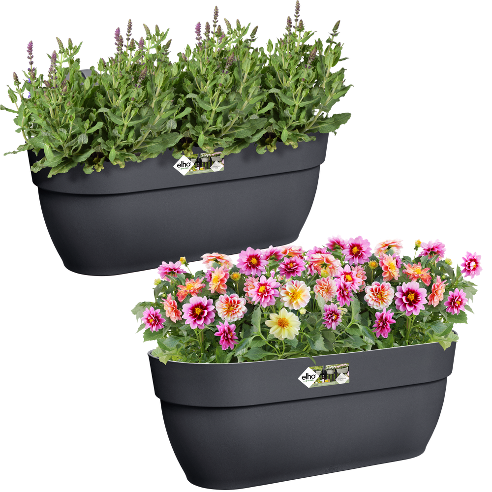 BNDL Vibia C. Easy Hanger L X 2