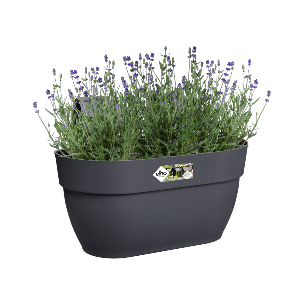 BNDL Vibia C. Easy Hanger M X 2