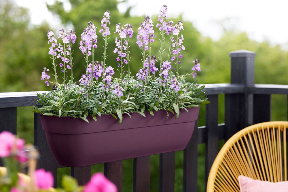 Vibia Campana Easy Hanger XXL 70