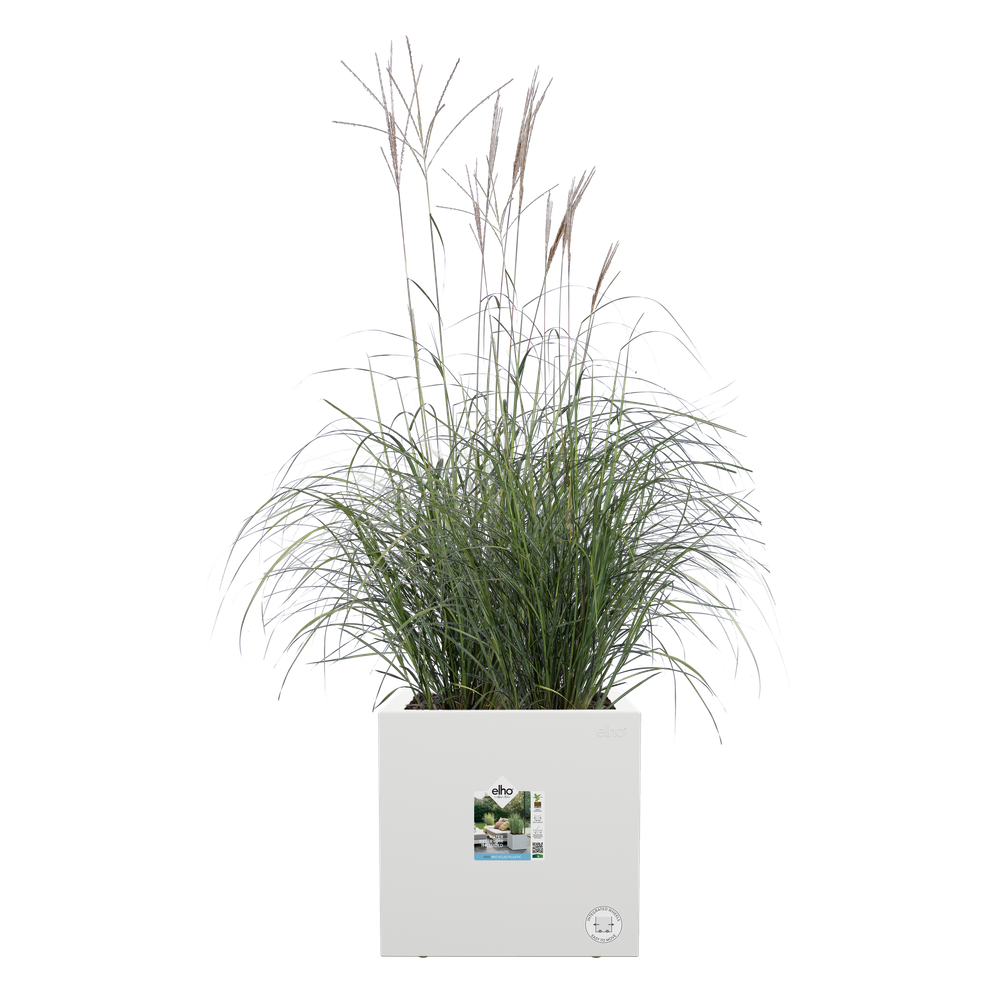 Vivo Next Vierkant 30