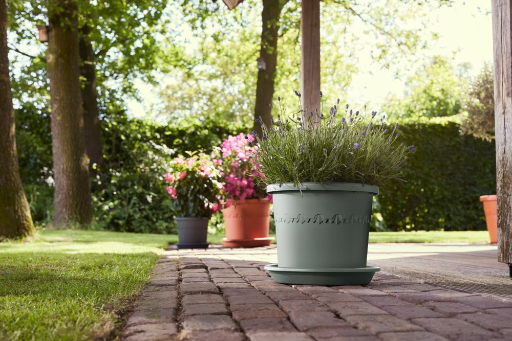Universele Schotel Rond 40