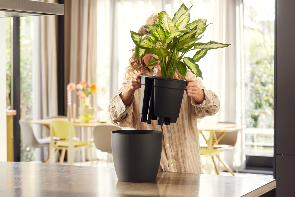 All-in-1 Brussel Rond 18 + Swi 17