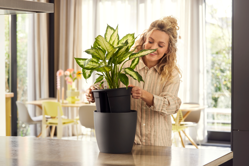 All-in-1 Brussel Rond 18 + Swi 17