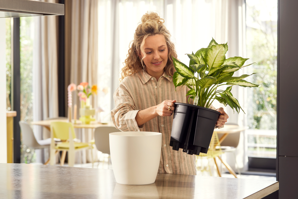 All-in-1 Brussel Rond 18 + Swi 17